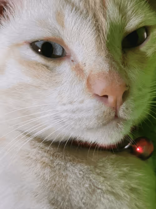 Item #45172585335081813343644153314495358007196078945782785289910377734784591855626 Media