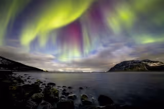 Item #46611130796793737103261664162489799943638703261952122518594383956462964572164 Media