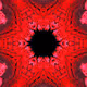 77077131467420648605650977251707435865549248741388920697615720765985252179969