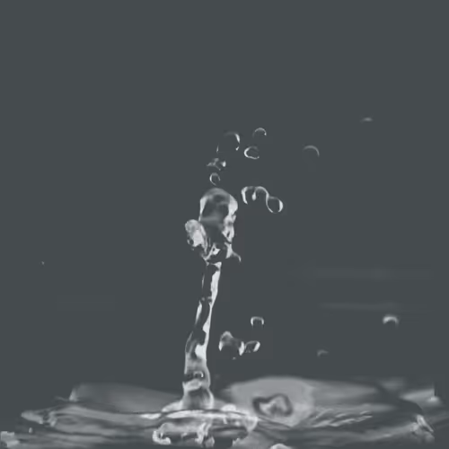 Item #103501458131411896080552526254626277361823294681918938022776603344650683547649 Media