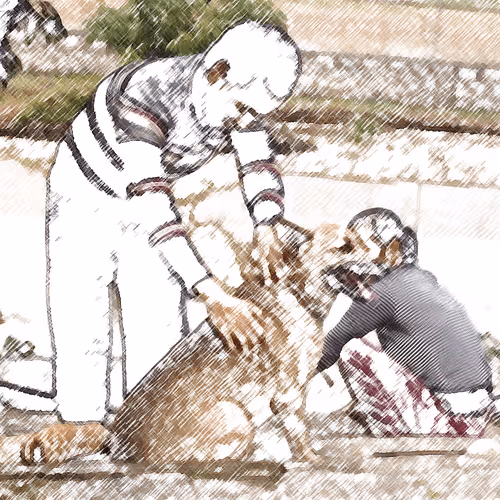 Item #60872619837691221380598772379199687770025926314057253898285761394697316597770 Media