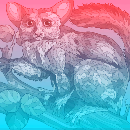 Item #97940272869774115006188557122306502837320093612378358461220619617586735218698 Media