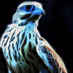 EagleXFALCON #9