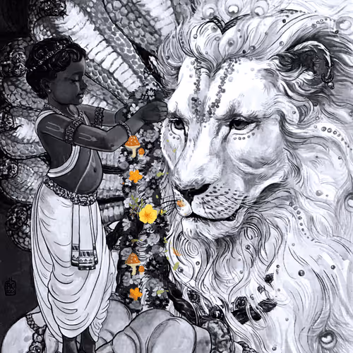 Untitled Collection #205031148