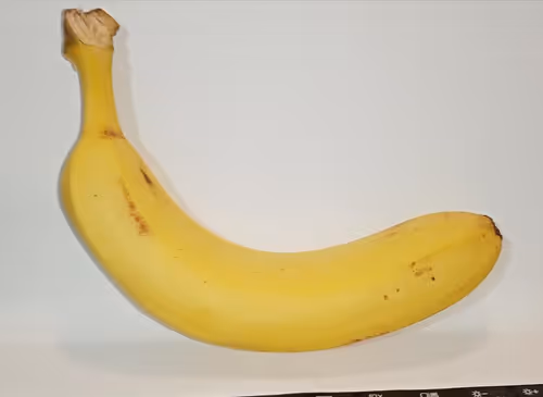 Item #62641140096771171020235501747657074181570524460748477311370682205977089933313 Media