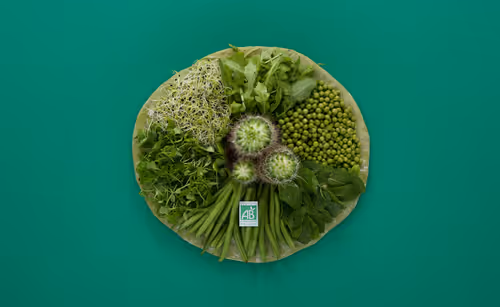 Item #84765084526323986675949995461952461534862136488638800719247366815572805287937 Media