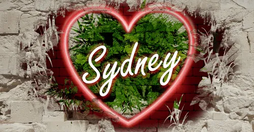 Item #68053287575525751288269231675427811746861684968250582901590729573841439293450 Media