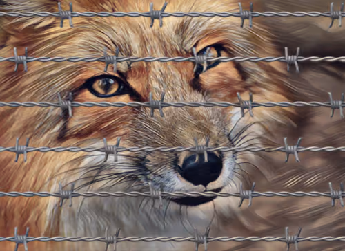 Item #108994692987879119761729399124064955145506115875970263841189206555520747438085 Media