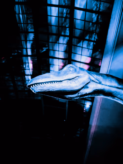 Item #111363445985459293616531591418406222693866722477509914610744344969117618405377 Media