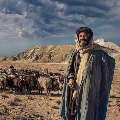 Item #80261072711668544625956097503537230290104214068874563233857599430507441946634 Media