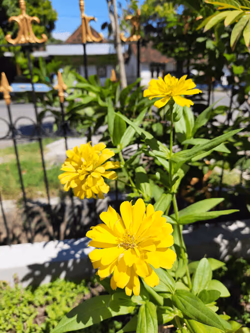 Item #78774018974347764357765192518377150739749637856503949941232678408377981730817 Media