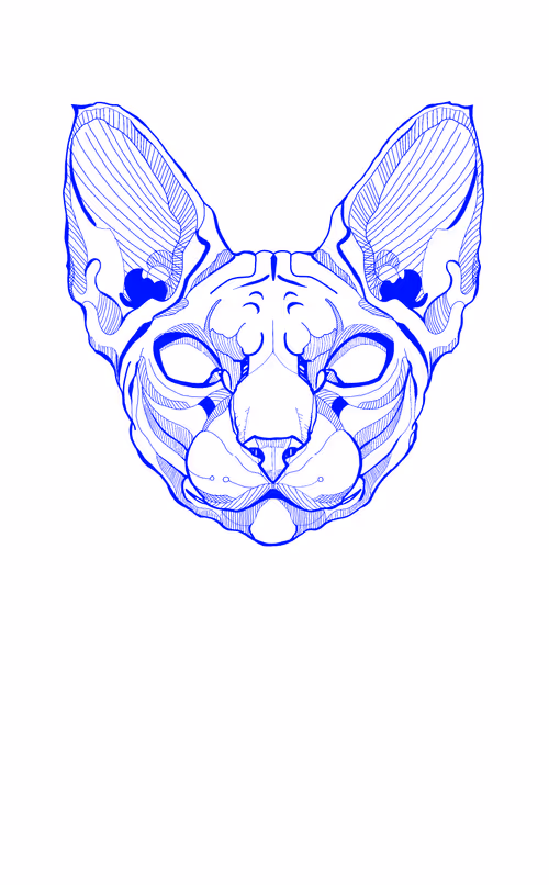 Item #84297988521860449487920326360898468511054866812923401198130100108550079512577 Media