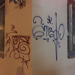 Ameo #50