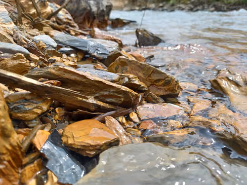 Item #32708508987210996203505439108186848896243903998336501445034175511225929039873 Media