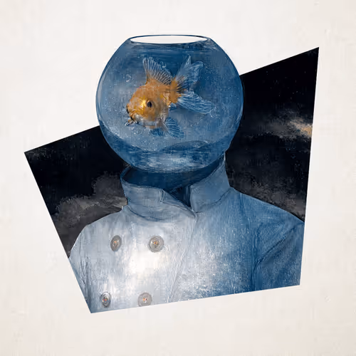 Item #19666948566759485662770535688776361214672286684098002644730326671181981155329 Media