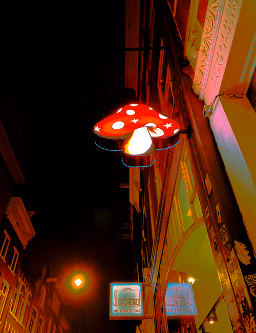 Item #60267809746209383341178630505688960890810115760928514300372411673223549157377 Media