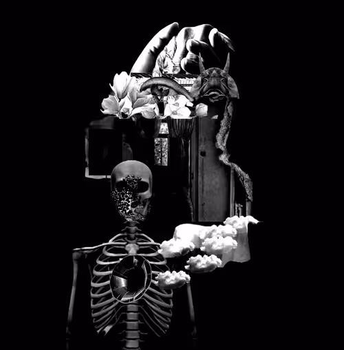 Item #85043563857425734787029872858228068518532895461354812368453176734030338457601 Media