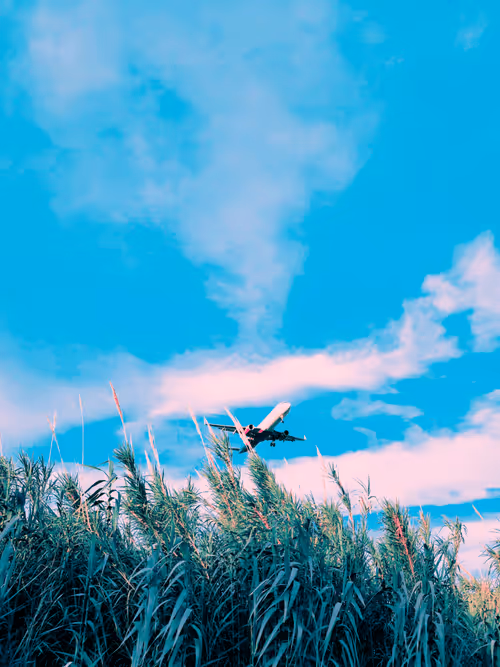 Item #36816001644917254617906175698674191035781868216999975889902342350857822011393 Media