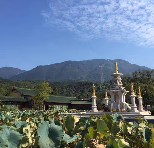 35308451355694295691084576807998119017131502347219287118871722579500310986753