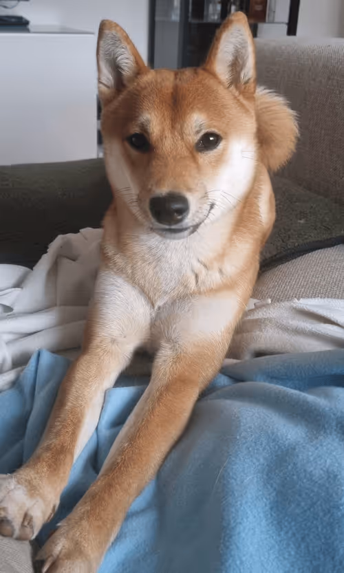 Item #51858709847349082355477028651242767391039160802379825665602477048980786118657 Media