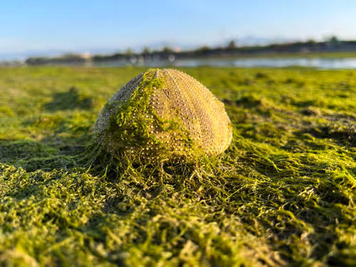 Untitled Collection #12526836