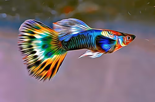 Item #57500777146630575946577095309021128773134385874289132035968473417478324617217 Media