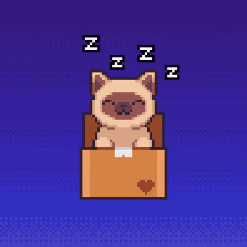Kitty in Box #016