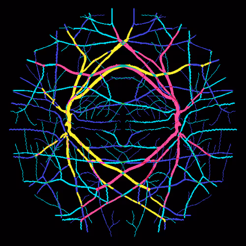 Item #7078802064077755305879053961196844759257248211509687953083586620273599709185 Media