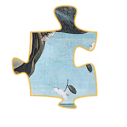 75422050829207020223155639576581706124142298038255743959433826771455029805057