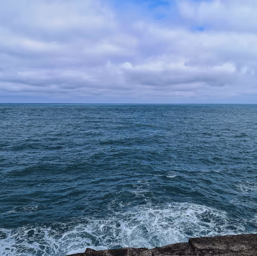 Item #31882075314192912160086998159124490424308141900795593509070756474527638618113 Media