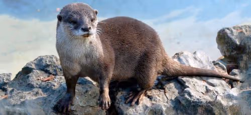 Untitled Collection #301699843