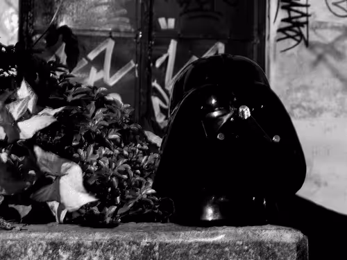 Untitled Collection #354516385