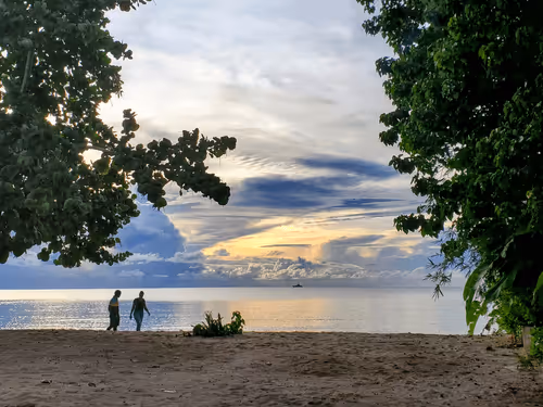 Item #98472539149852497909772220336016906941304707111889246531472116300621165887489 Media