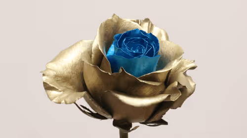 Item #68327891815088974381680309106564733444446266155657330601700582196358785531905 Media