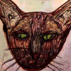 Super Cat