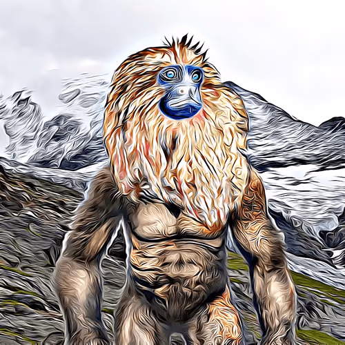 JuniorgoldNFTs Collection