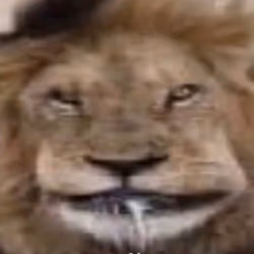 Untitled Collection #99201673