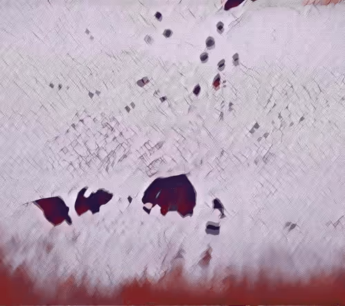 Item #16558374224031309544810590642259060897408029573872384606006677258524080209921 Media