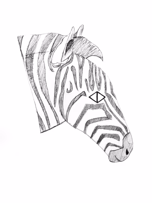 Item #21782199312368670970242189760663991903932470876849492131182457865951720243201 Media