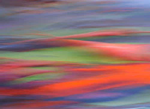 Item #23265726314410109476129301555838572111439838682222879854994044557588003028993 Media