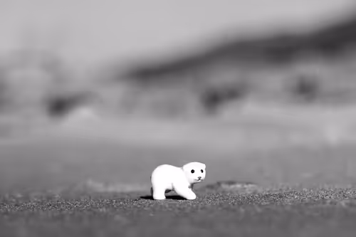 Item #17246773967106427395426250000565453120833818394642551124170626600806830309377 Media