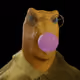 98661308309049942828386869243495265720860333052809520150067686226697016836097