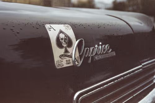 Item #19047465306348406328052946929912195757784047878238389409385033512280116953089 Media