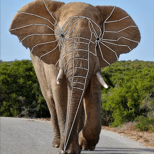 Item #24473209154447979220678348830340627404068712113787429026229454972724902363137 Media