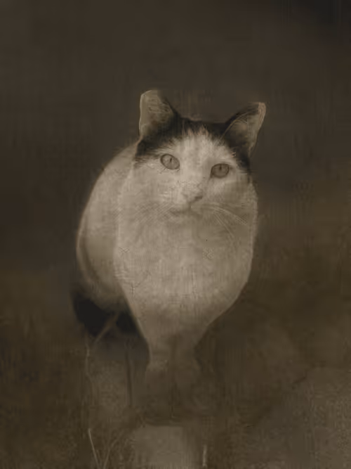 Item #102650025238985064889532626323507420633017859616961165632132730775338408214529 Media