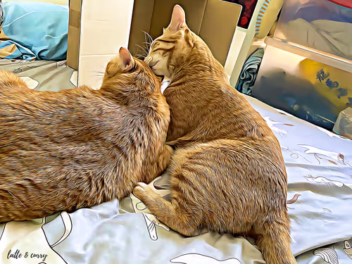 Item #38747037905347177925471706443205225448662377409082536750344913920108846383105 Media