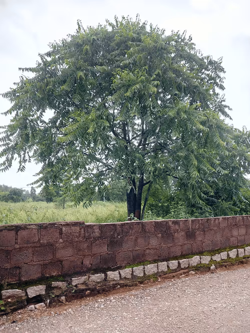 Item #75097487553752497353162577816974130774029112478172457106209786945427371720705 Media