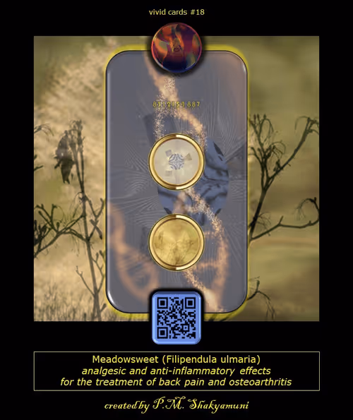 Item #47345187317042621199054541022243487307328885382077496715639673903961744606072 Media