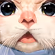 60776301907470961497531028590856274948667056304767507830716865529897291874305