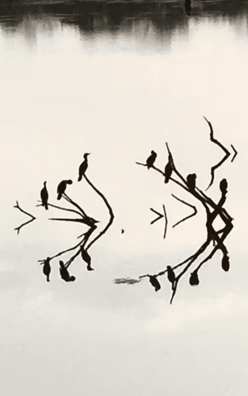 Item #28056042203648449802072066486379268143720439315100919087325002293527546167297 Media